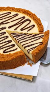 Cheesecake Slice Chocolate